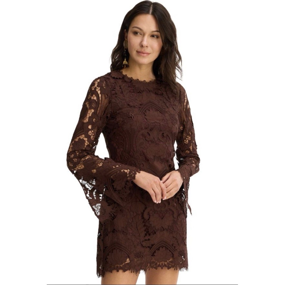 Allison New York Daisey Lace Dress In Chocolate Brown Size 2
